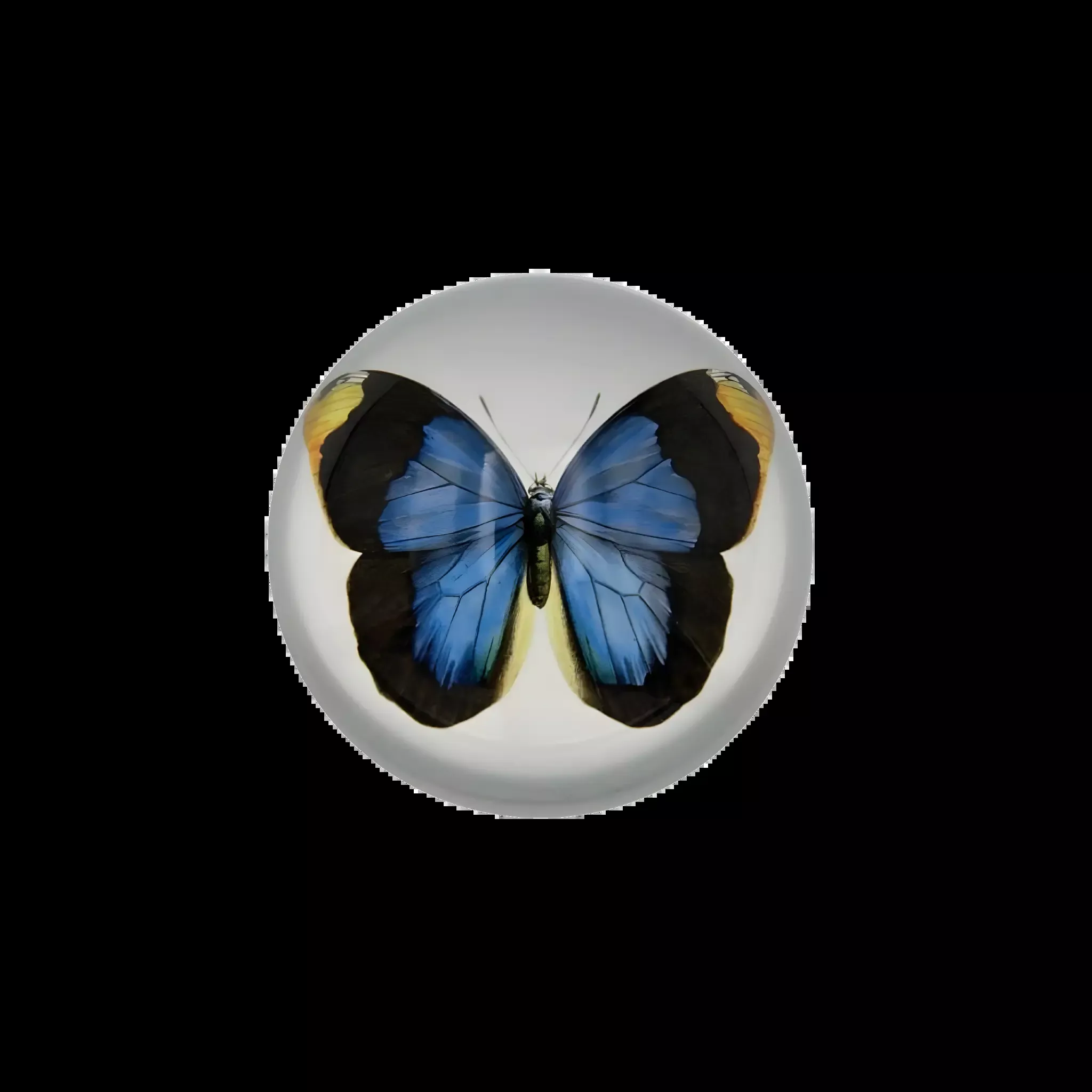 Blue Butterfly Paperweight